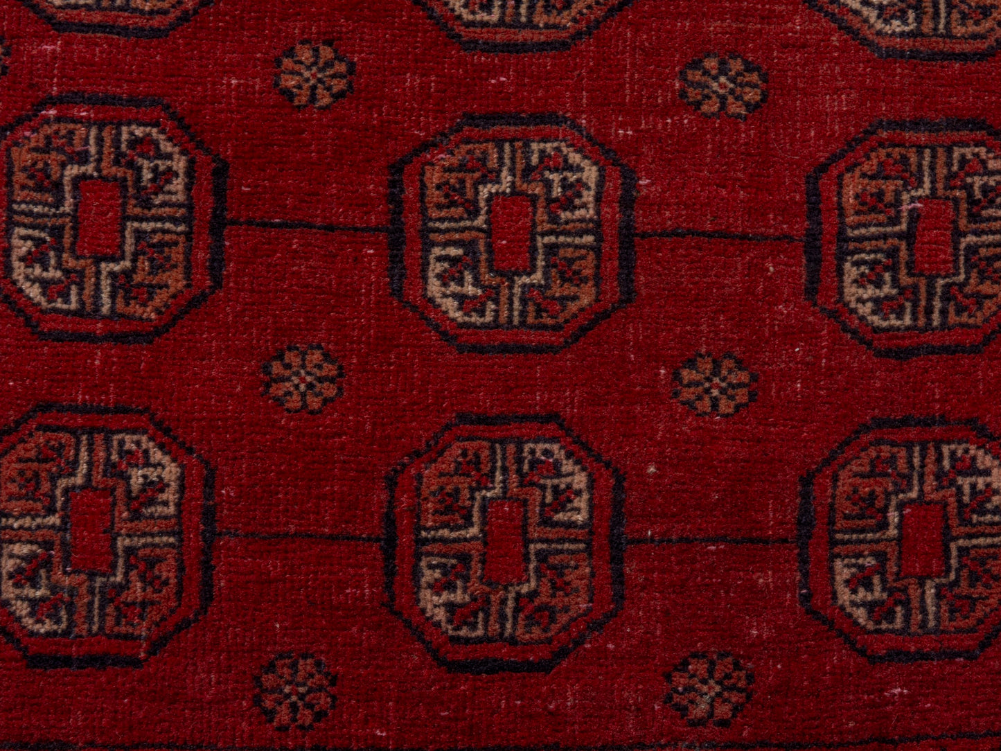 CAN_4616 - 2'3" x 5'6"