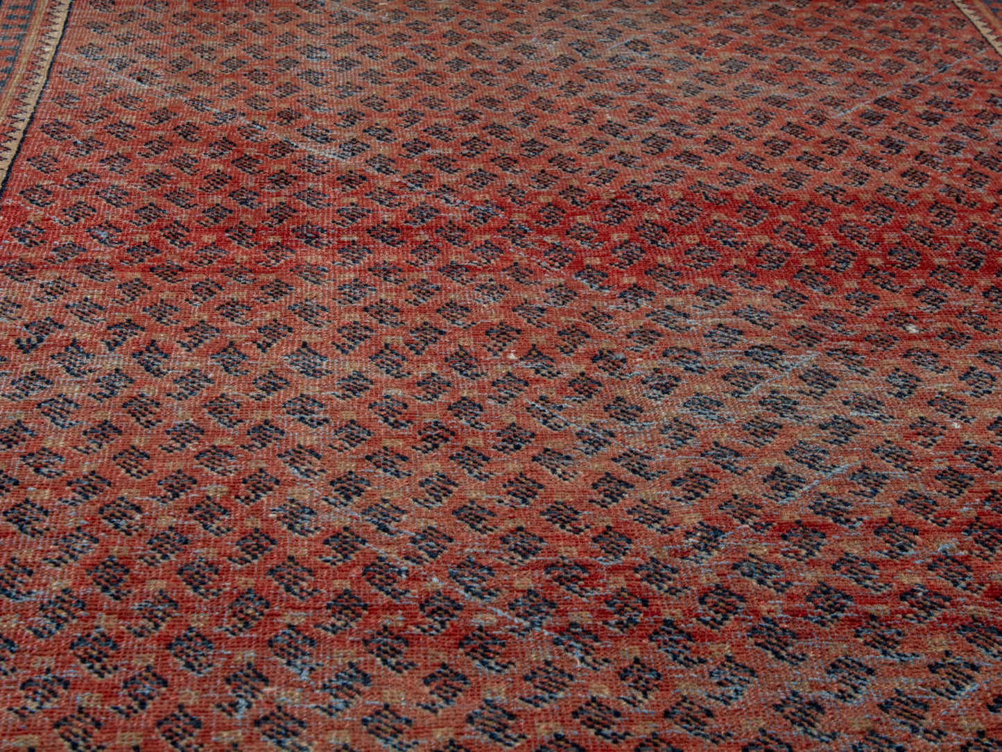 CAN_4623 - 3'3" x 5'9"
