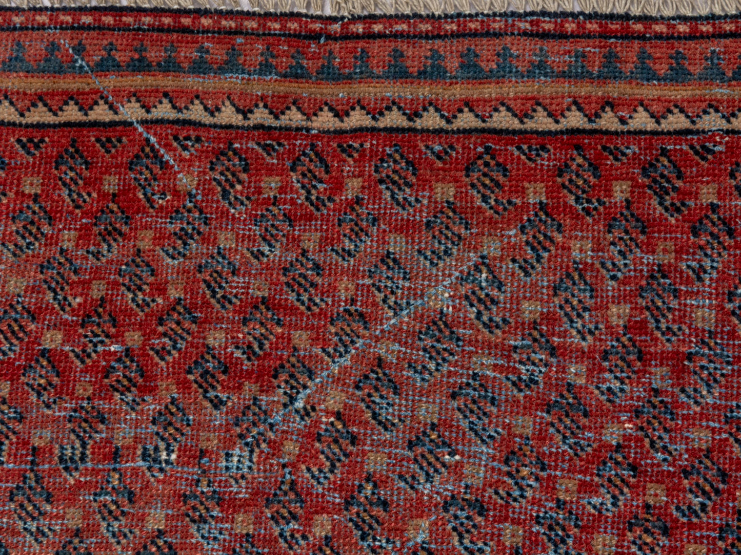 CAN_4623 - 3'3" x 5'9"