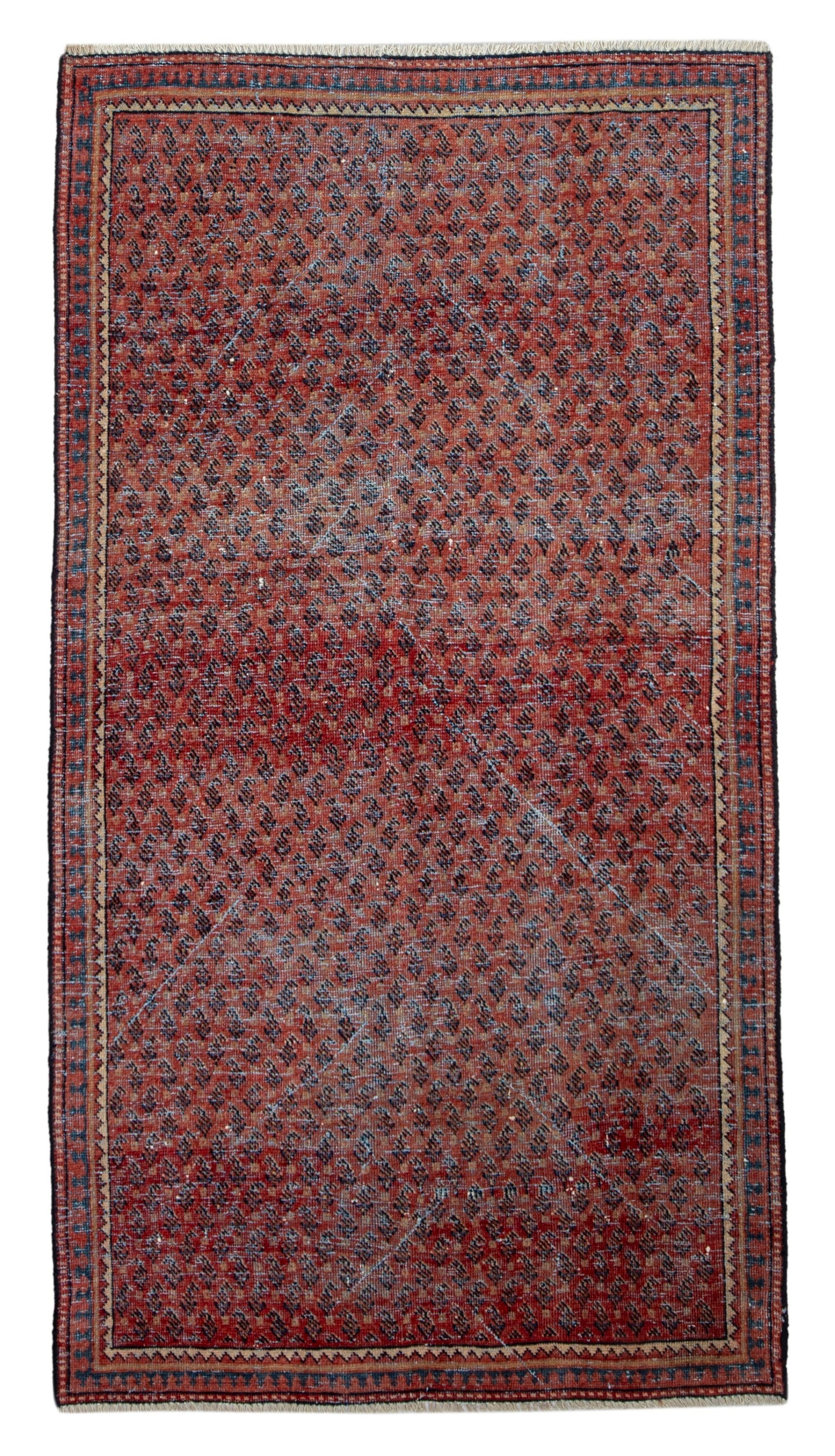 CAN_4623 - 3'3" x 5'9"