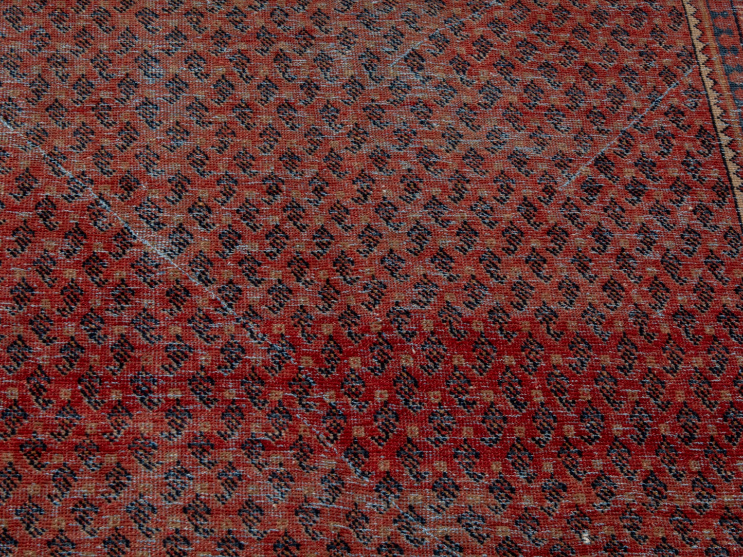 CAN_4623 - 3'3" x 5'9"