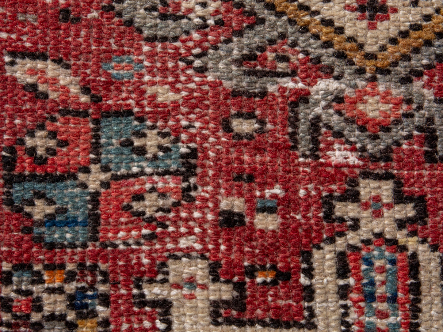 CAN_4628 - 1'8" x 5'