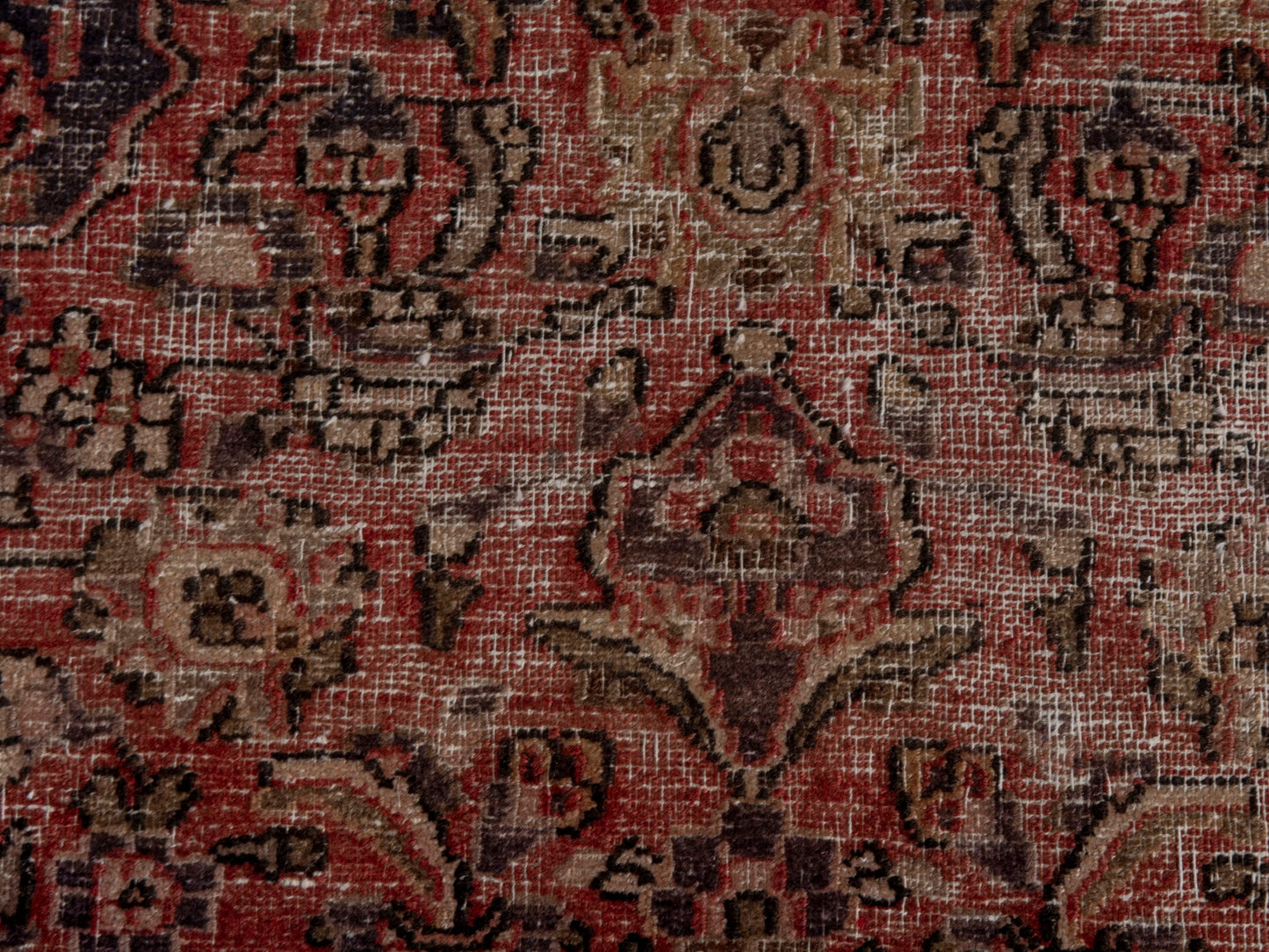 CAN_4632 - 3'3" x 5'2"