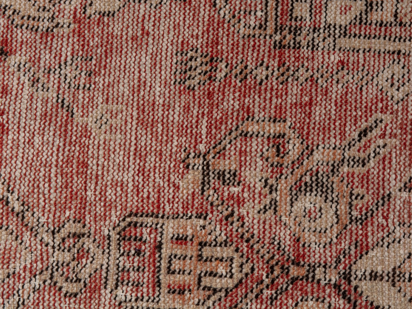 CAN_4640 - 1'6" x 5'5"