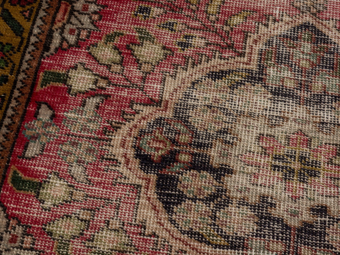 CAN_4650 - 3'1" x 4'11"