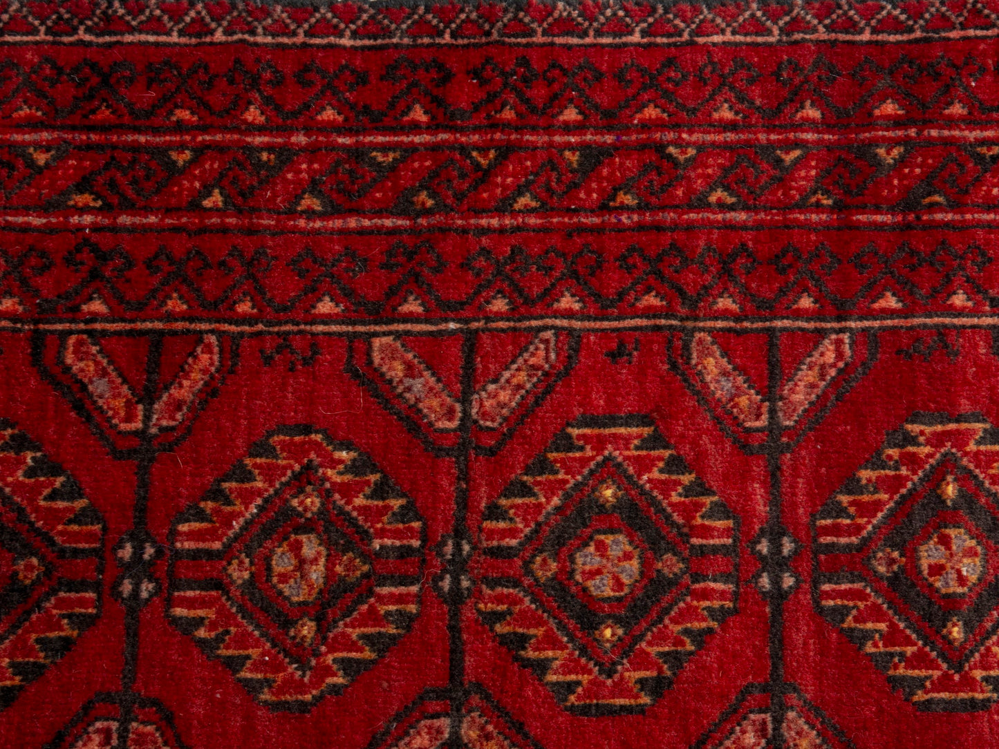 CAN_4651 - 3' x 6'1"