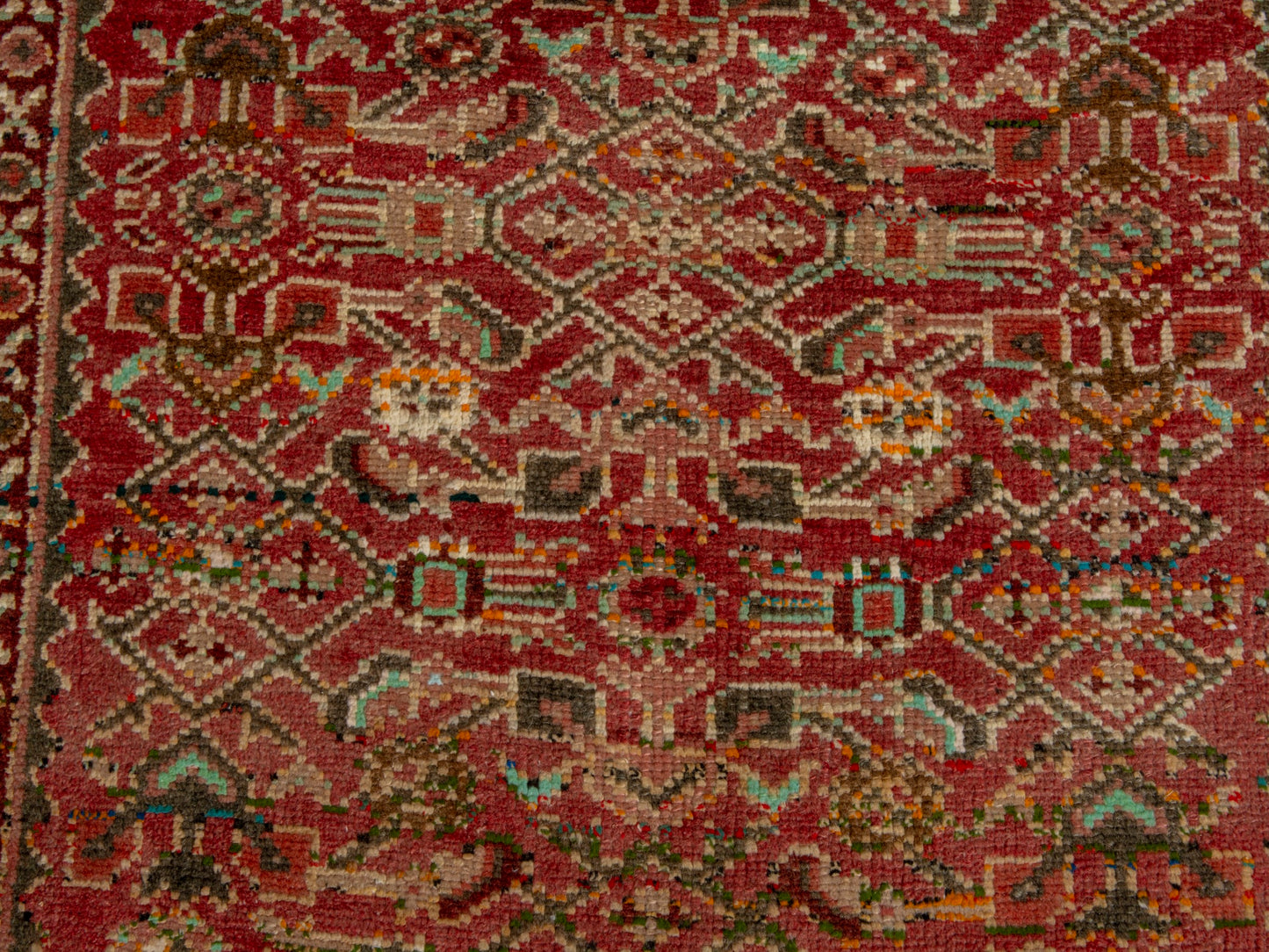 CAN_4652 - 3'4" x 6'5"