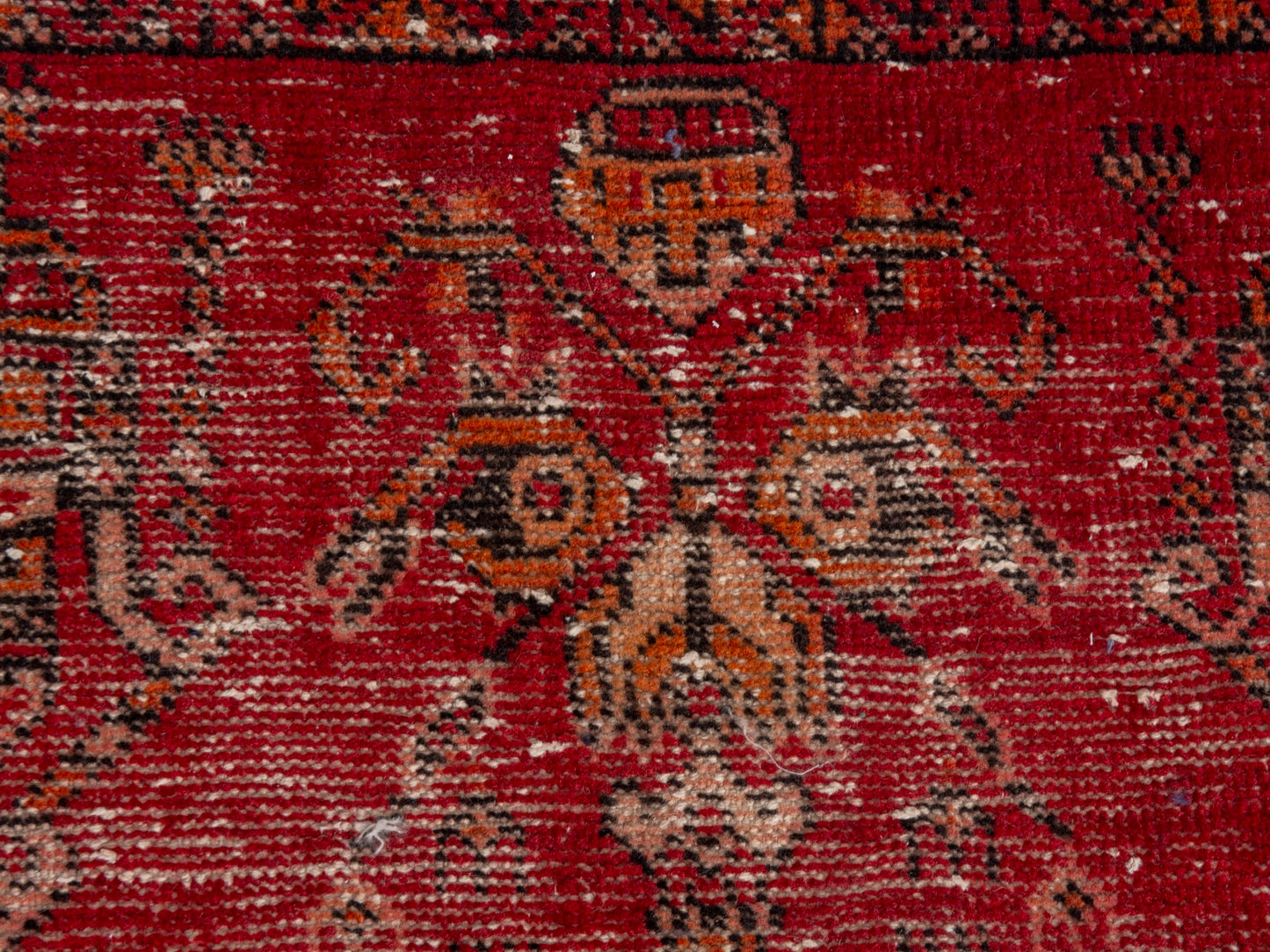 CAN_4653 - 2'9" x 5'7"
