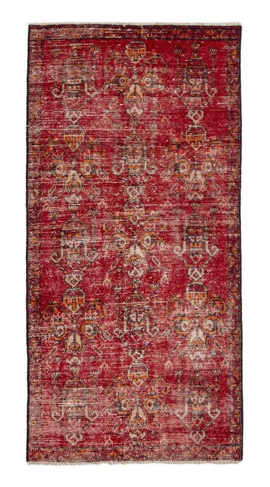 CAN_4653 - 2'9" x 5'7"