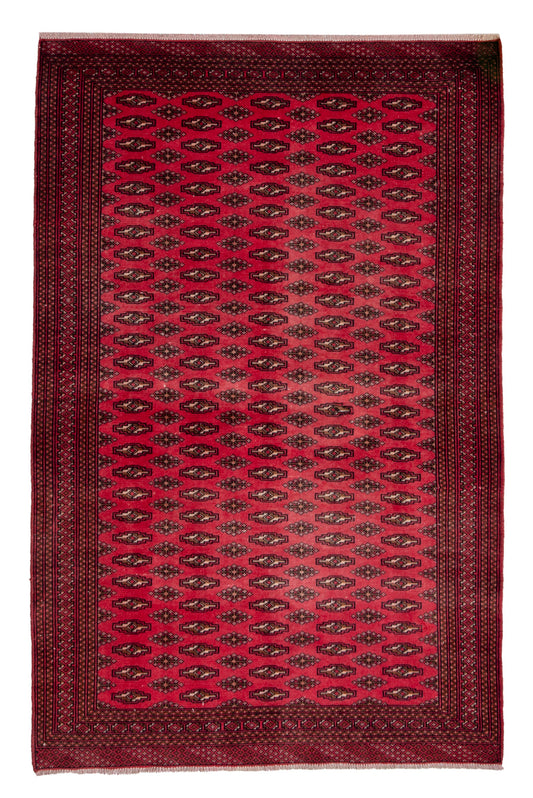 CAN_4655 - 4'3" x 6'5"