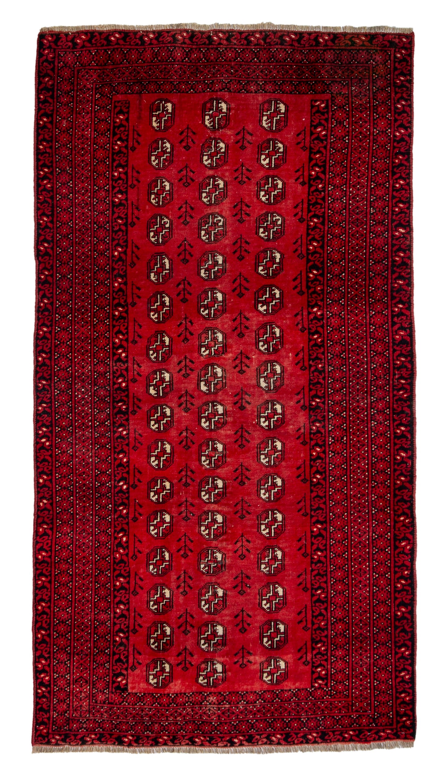 CAN_4659 - 3'7" x 6'6"