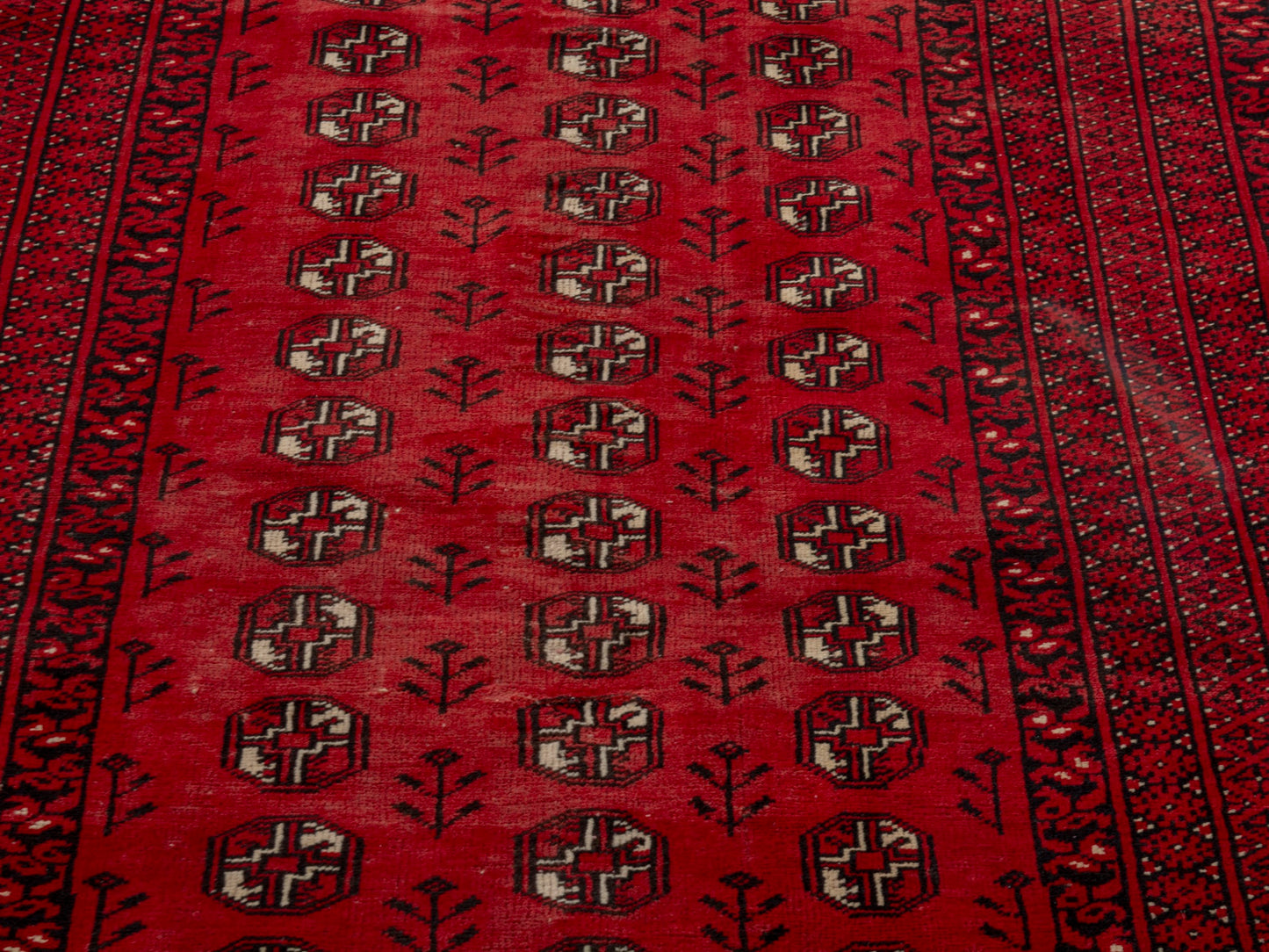CAN_4659 - 3'7" x 6'6"