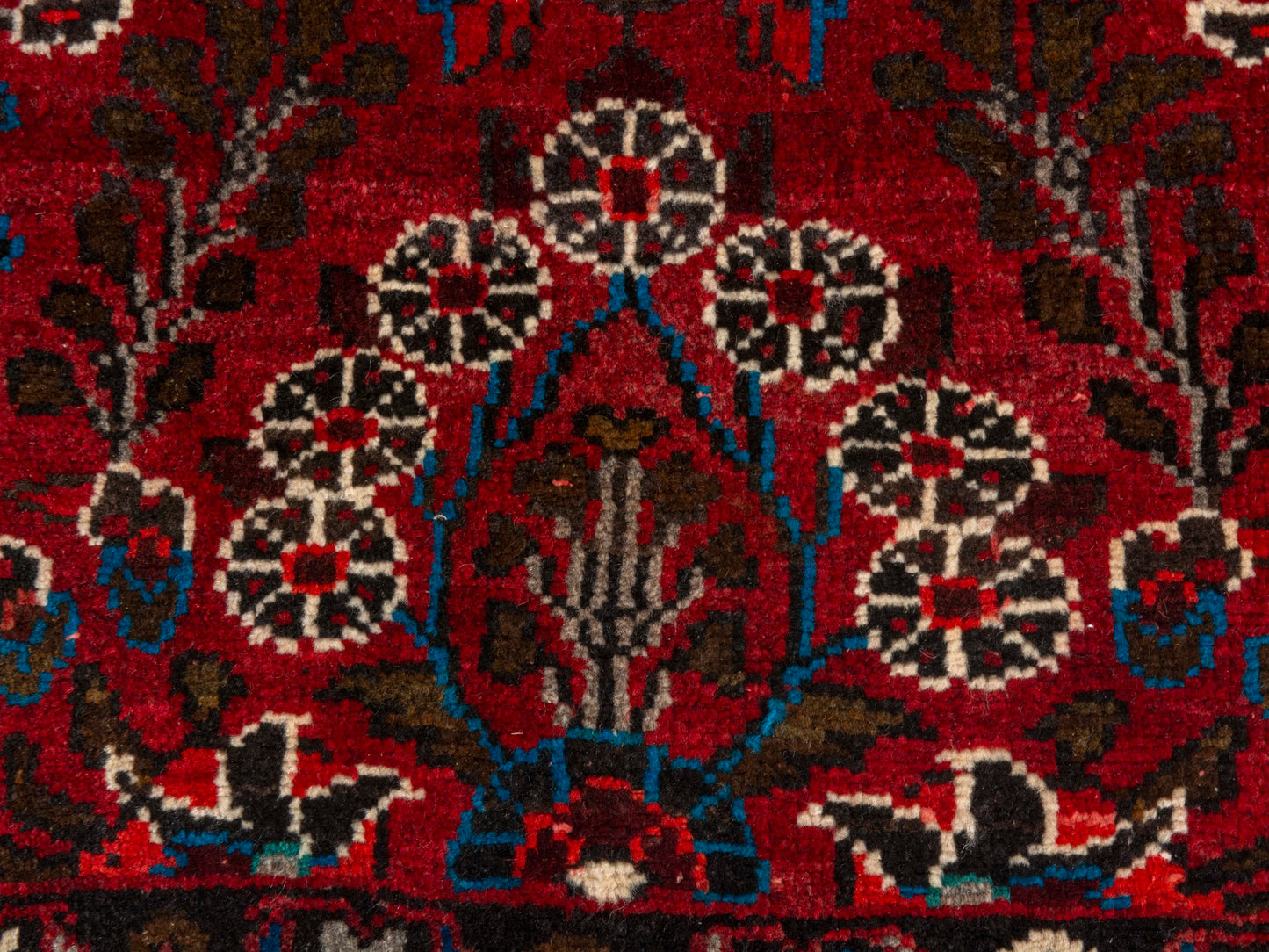 CAN_4670 - 2'7" x 5'1"