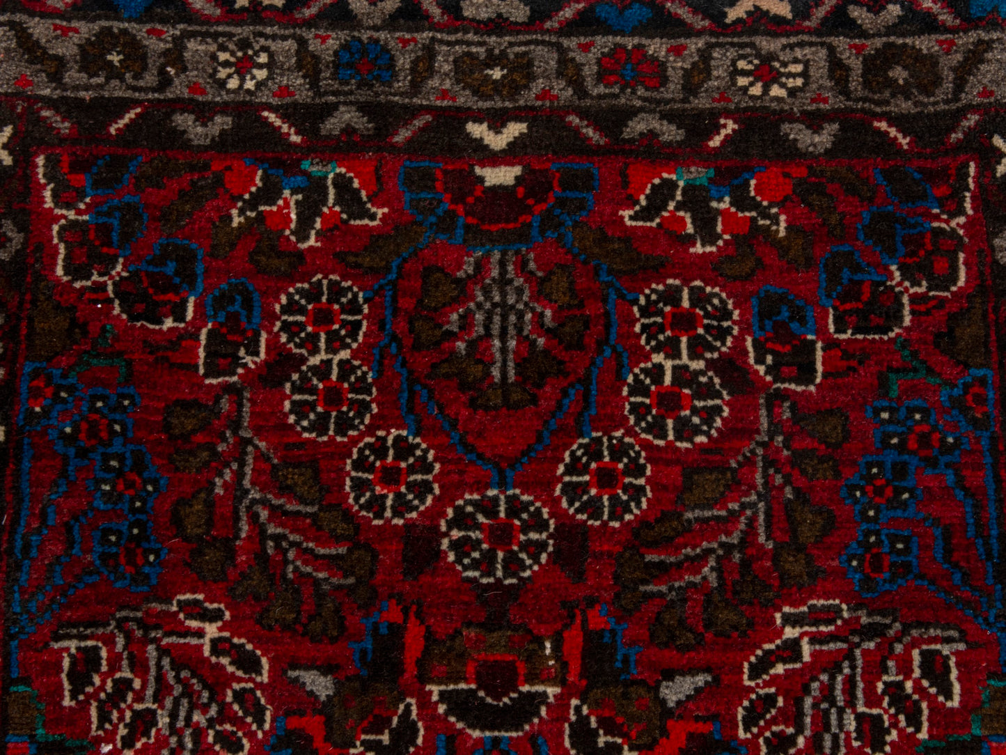 CAN_4670 - 2'7" x 5'1"