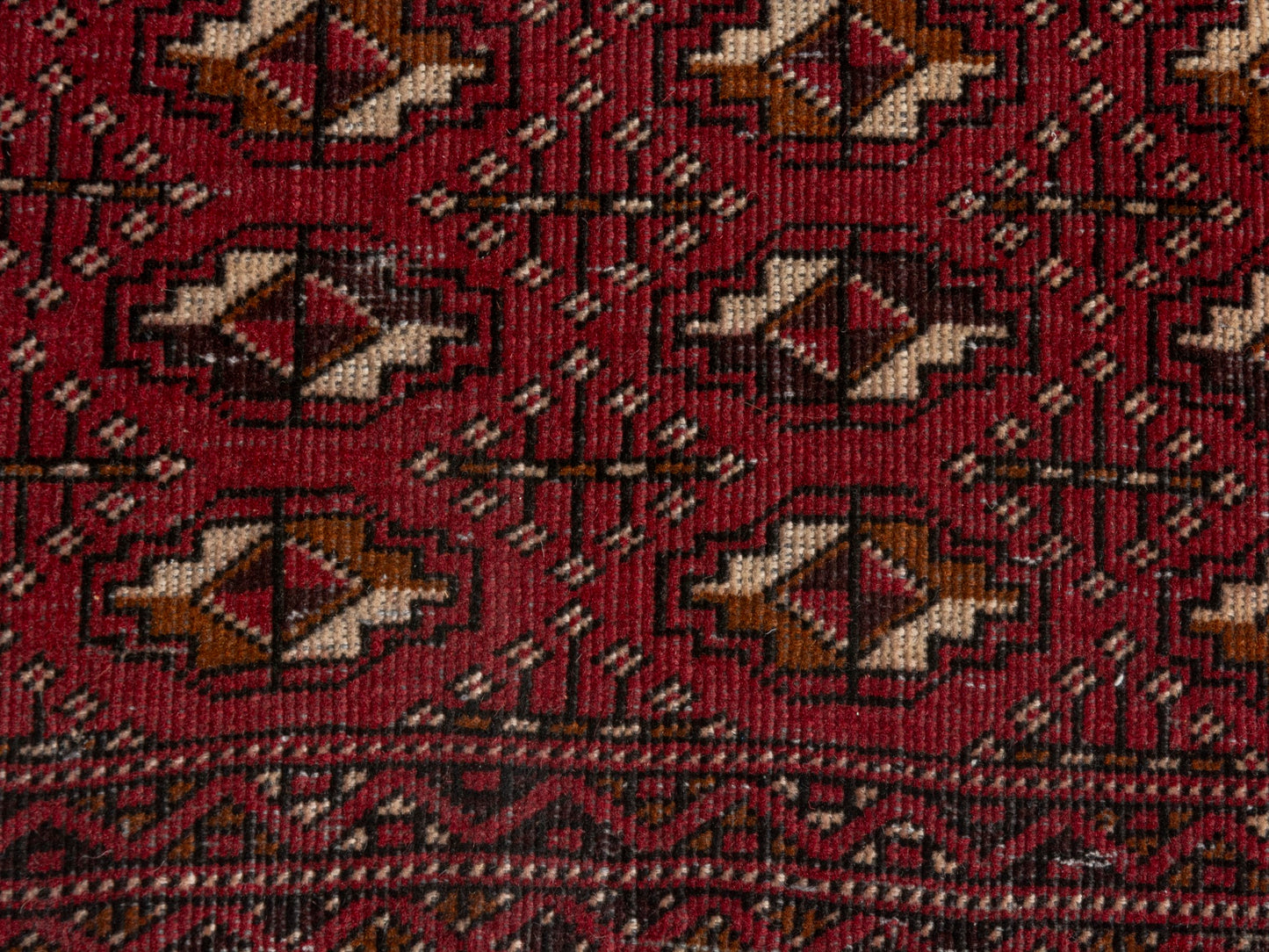 CAN_4676 - 3' x 5'9"