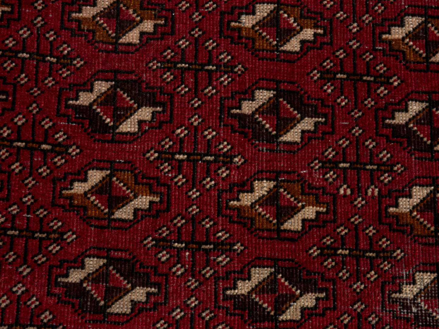 CAN_4676 - 3' x 5'9"