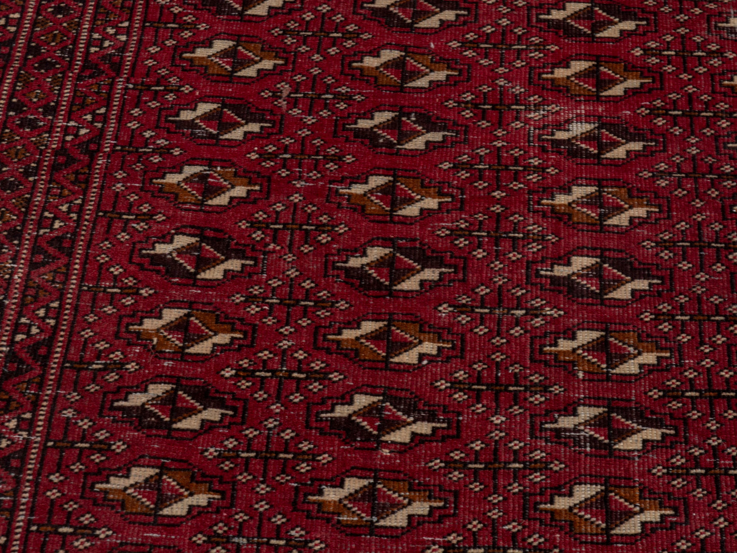 CAN_4676 - 3' x 5'9"