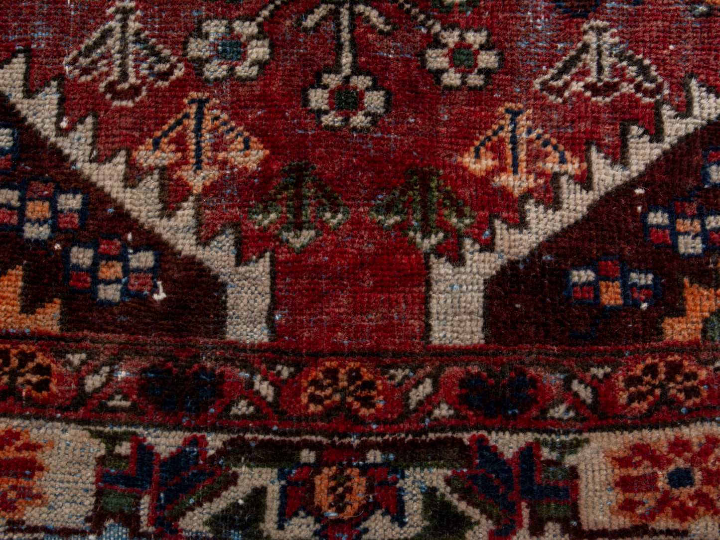 CAN_4681 - 5'6" x 10'10"