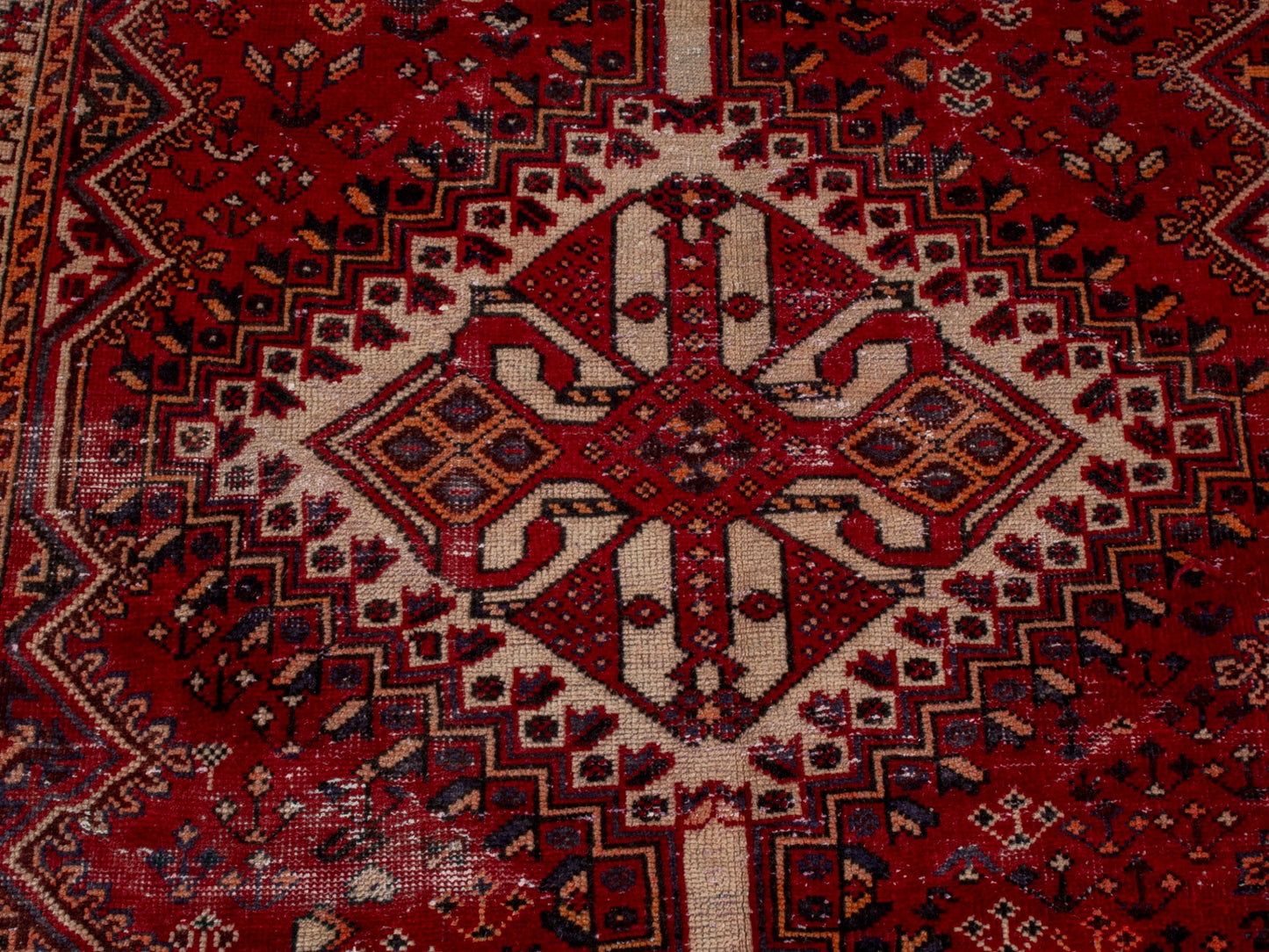 CAN_4684 - 5'1" x 10'3"