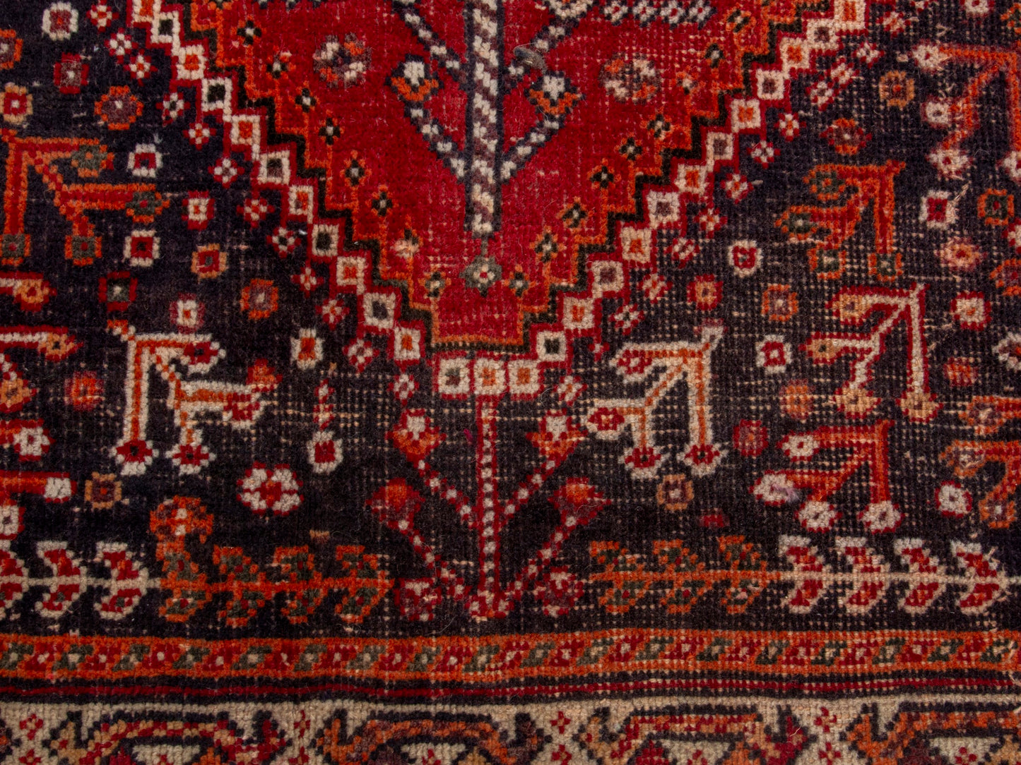 CAN_4688 - 5'5" x 8'2"