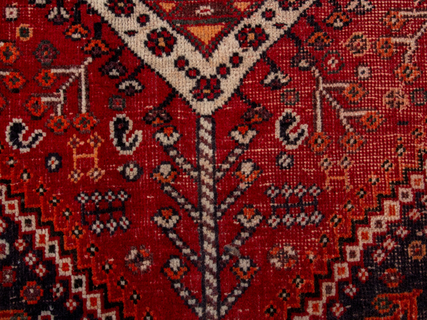 CAN_4688 - 5'5" x 8'2"