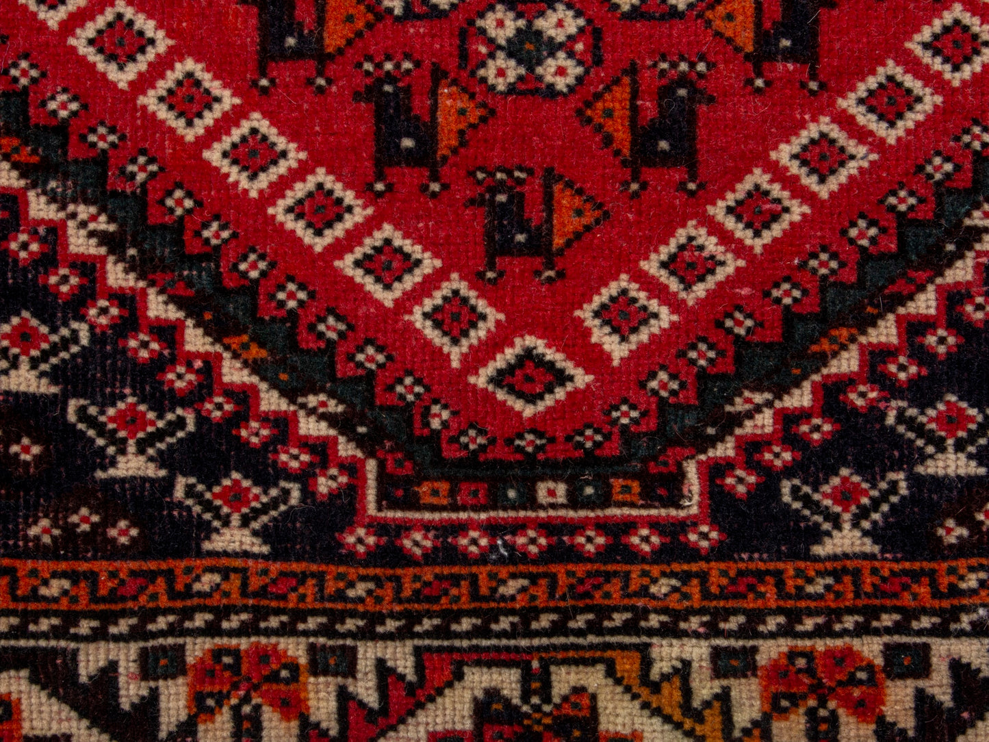 CAN_4694 - 5' x 8'6"
