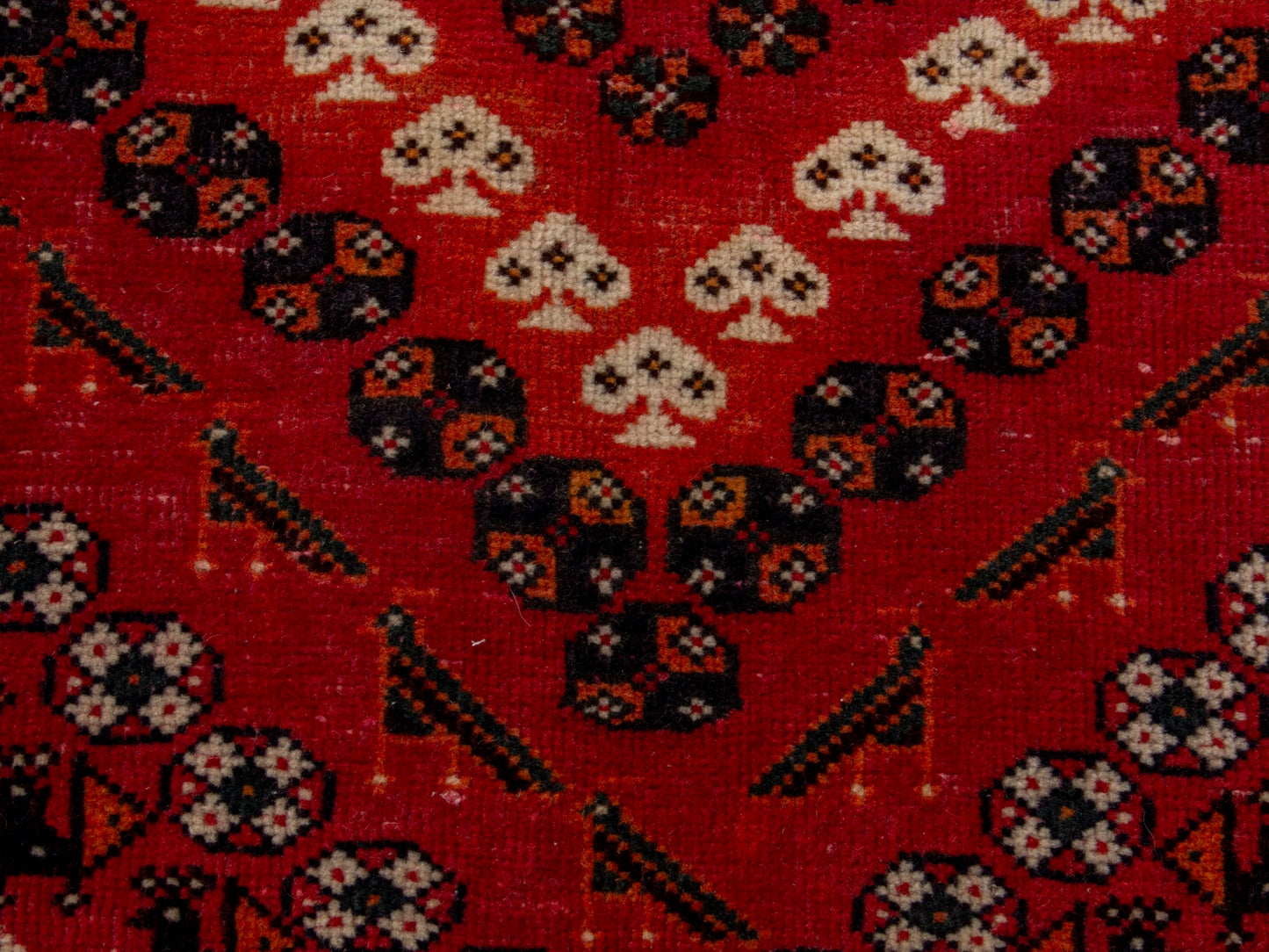 CAN_4694 - 5' x 8'6"