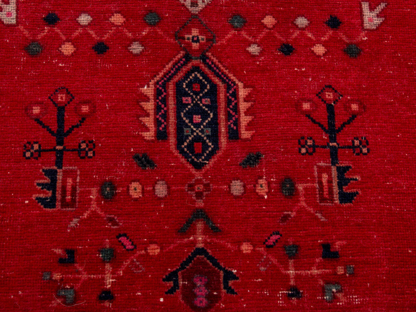 CAN_4695 - 4'11" x 7'1"