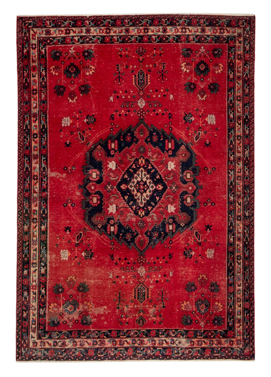 CAN_4695 - 4'11" x 7'1"