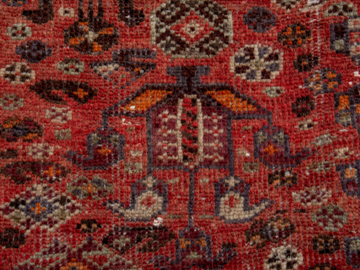 CAN_4696 - 4'1" x 9'8"