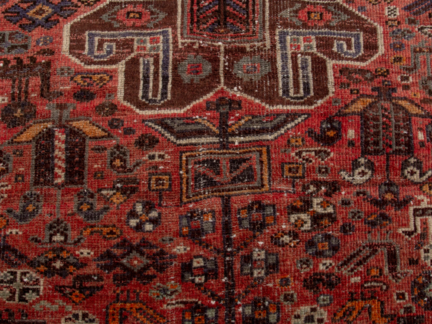 CAN_4696 - 4'1" x 9'8"
