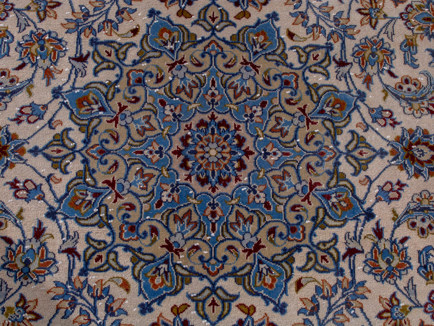 CAN_4705 - 9'7" x 13'