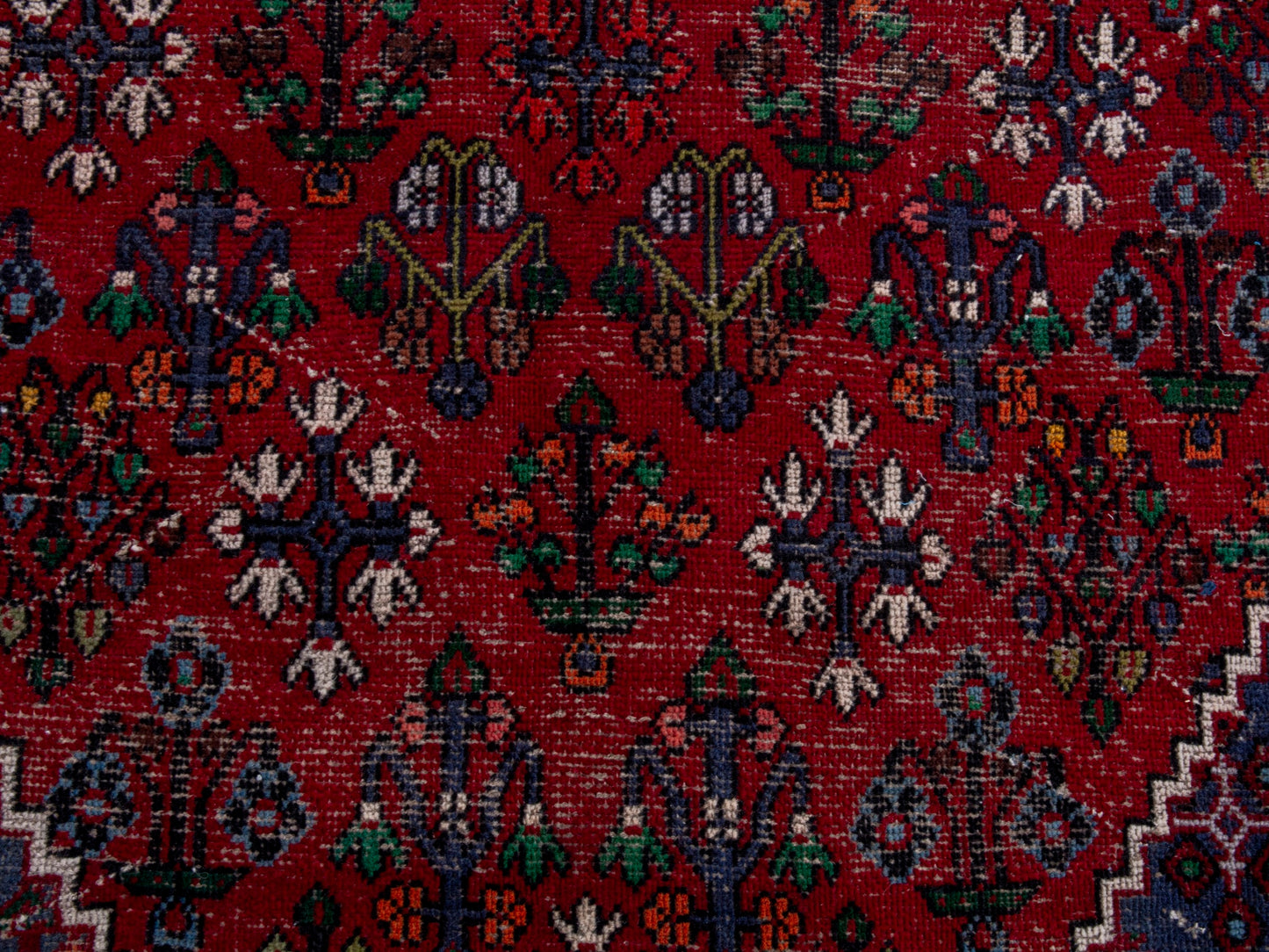 CAN_4711 - 9'6" x 12'4"