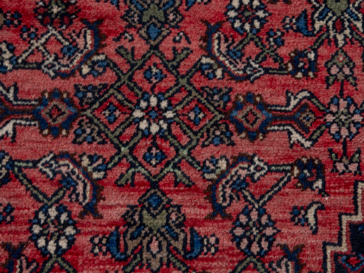 CAN_4724 - 11'2" x 17'3"