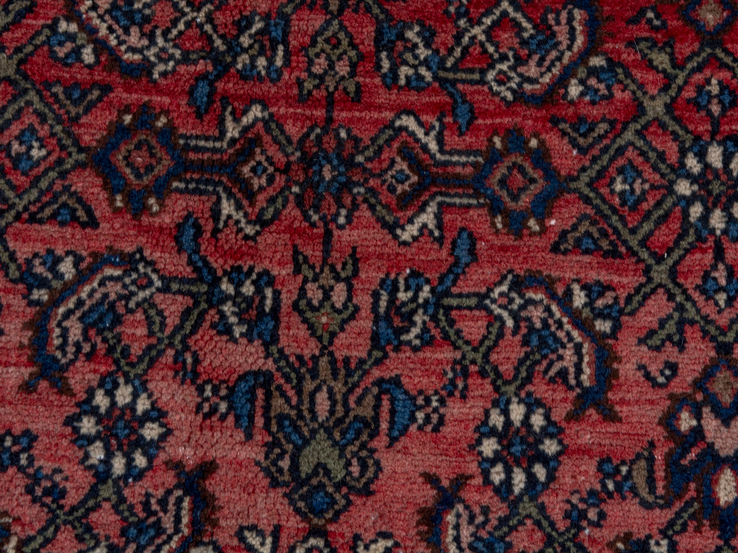 CAN_4724 - 11'2" x 17'3"