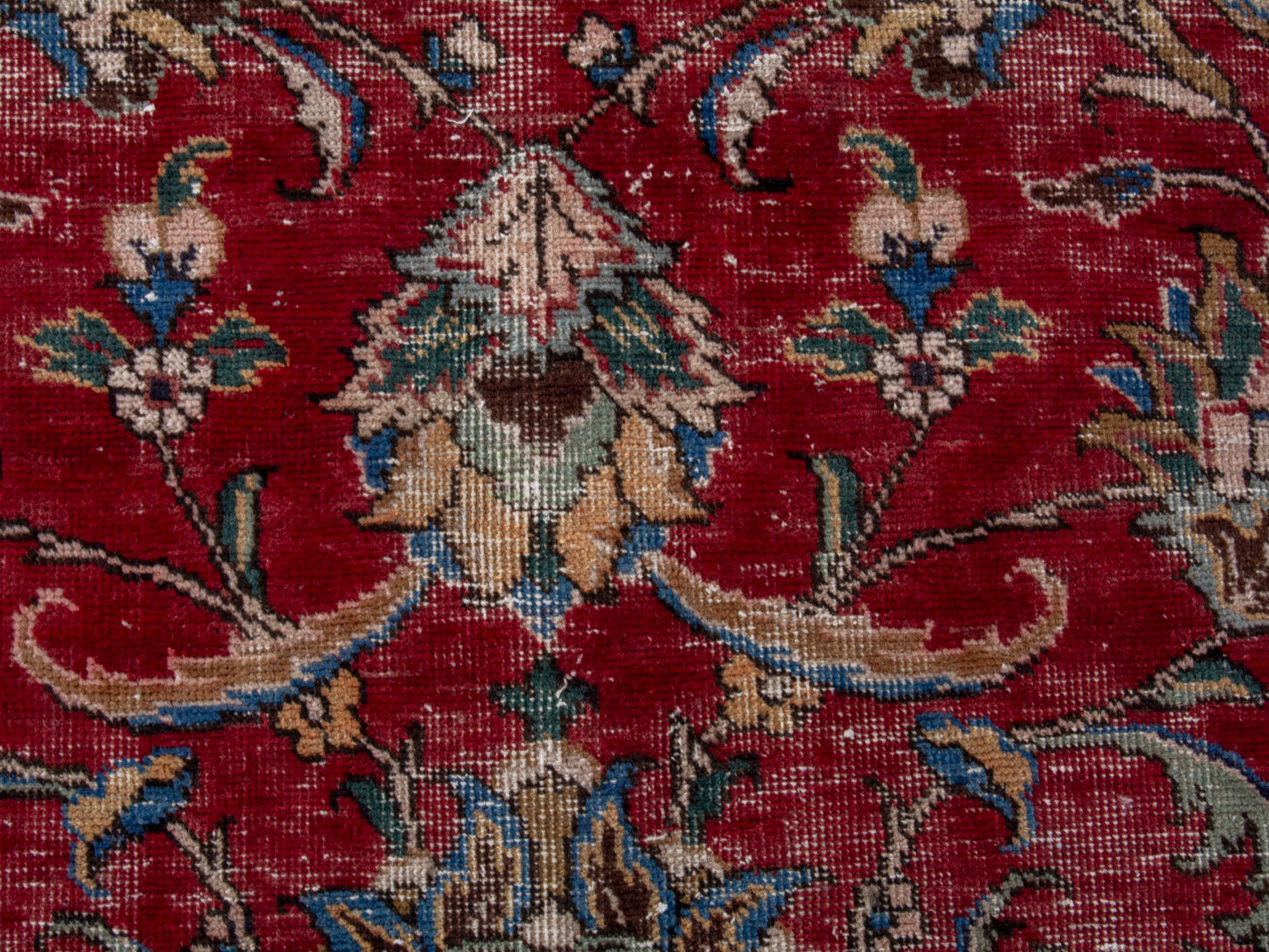CAN_4725 - 8'2" x 11'1"