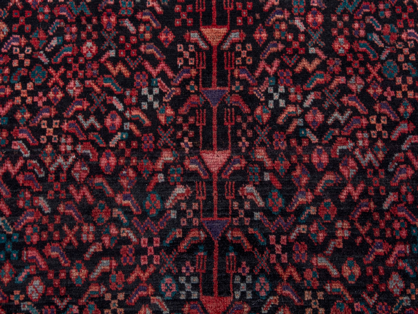 CAN_4735 - 4'9" x 12'6"