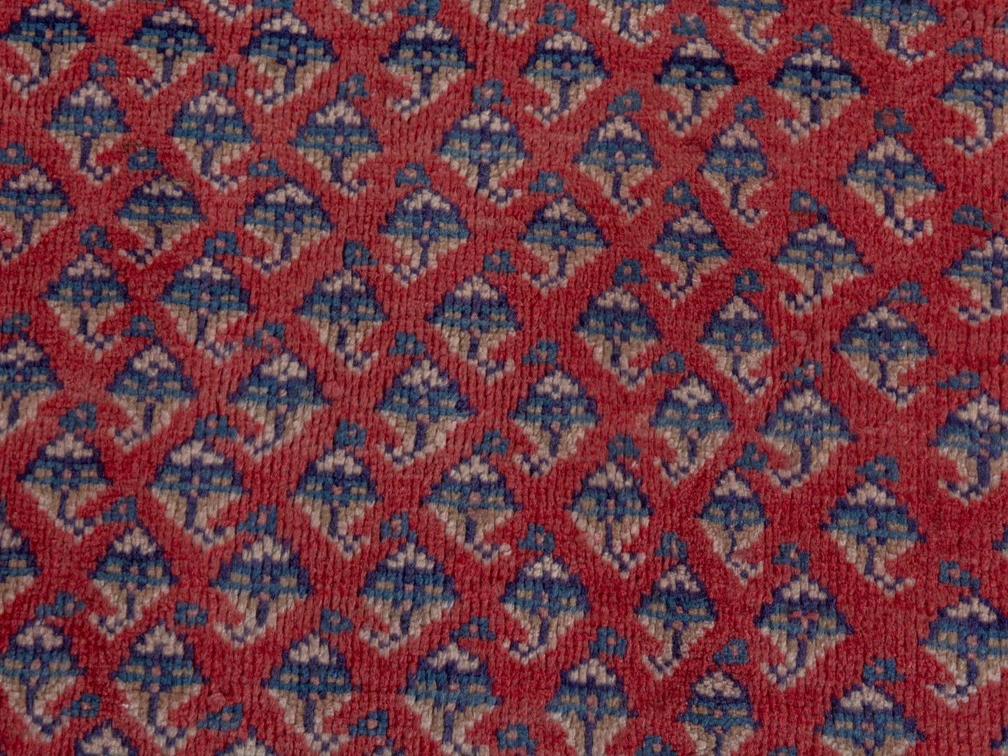 CAN_4736 - 4'7" x 10'8"