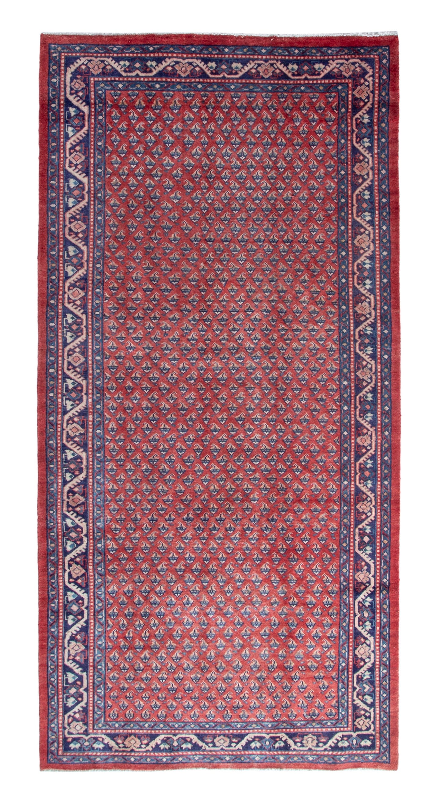 CAN_4736 - 4'7" x 10'8"