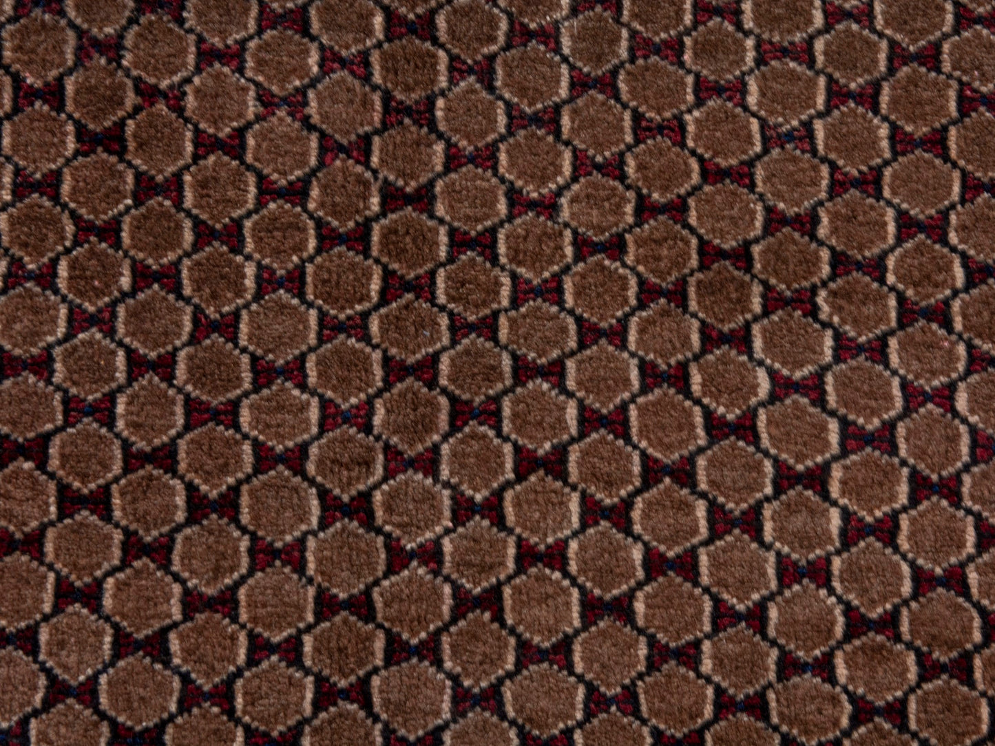 CAN_4738 - 4'5" x 9'2"