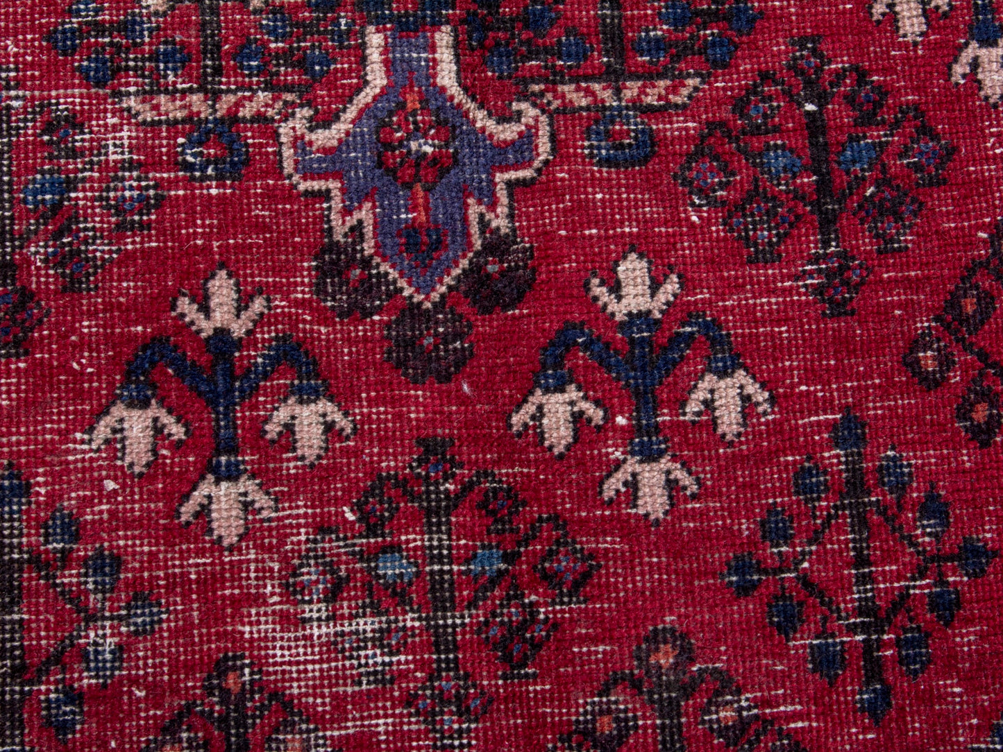 CAN_4743 - 5'1" x 8'10"