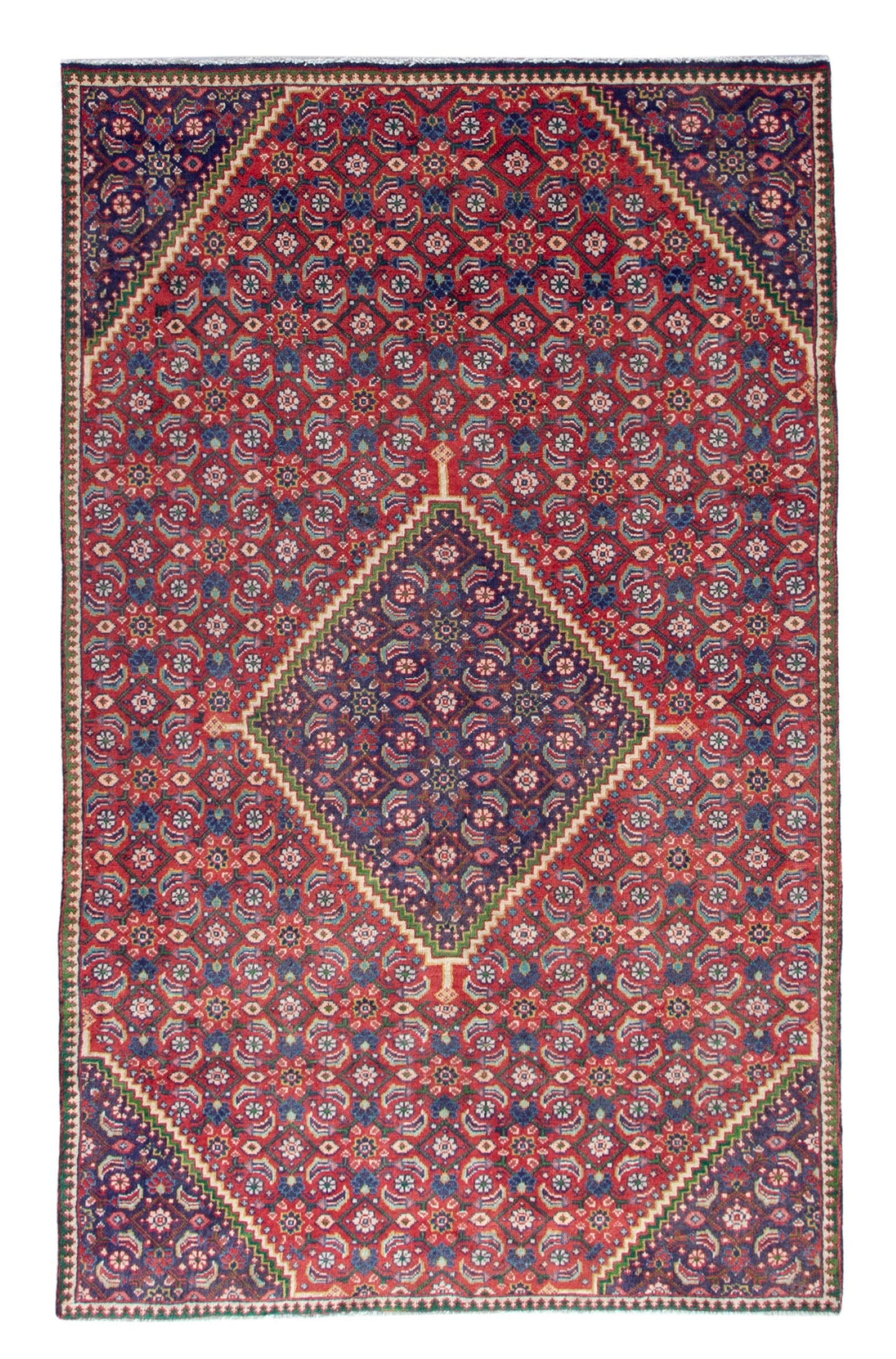 CAN_4756 - 4'11" x 8'2"
