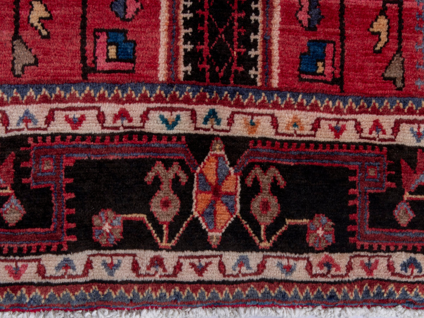 CAN_4763 - 5'1" x 10'8"