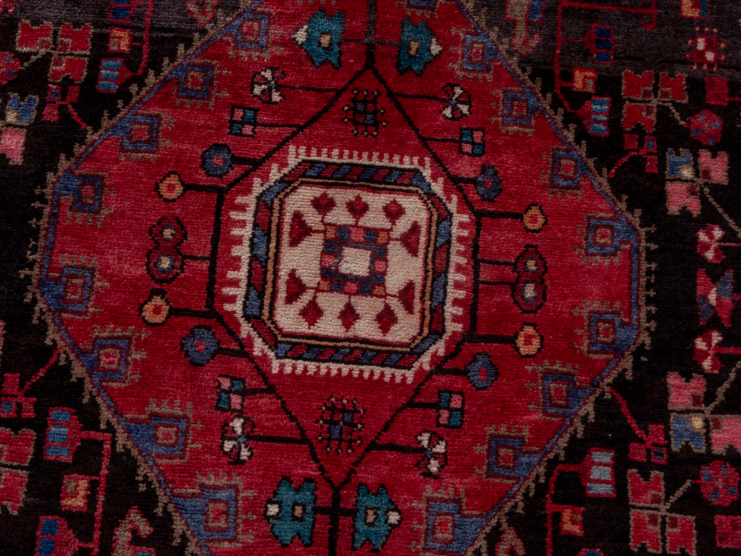 CAN_4763 - 5'1" x 10'8"