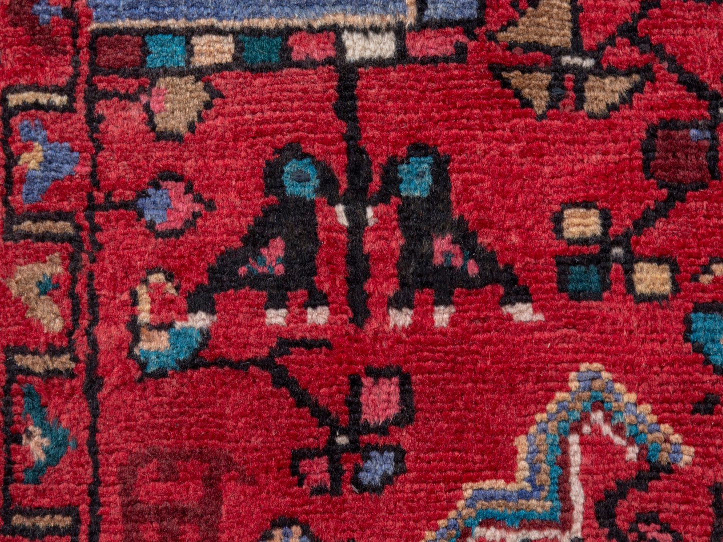 CAN_4769 - 4'11" x 10'3"