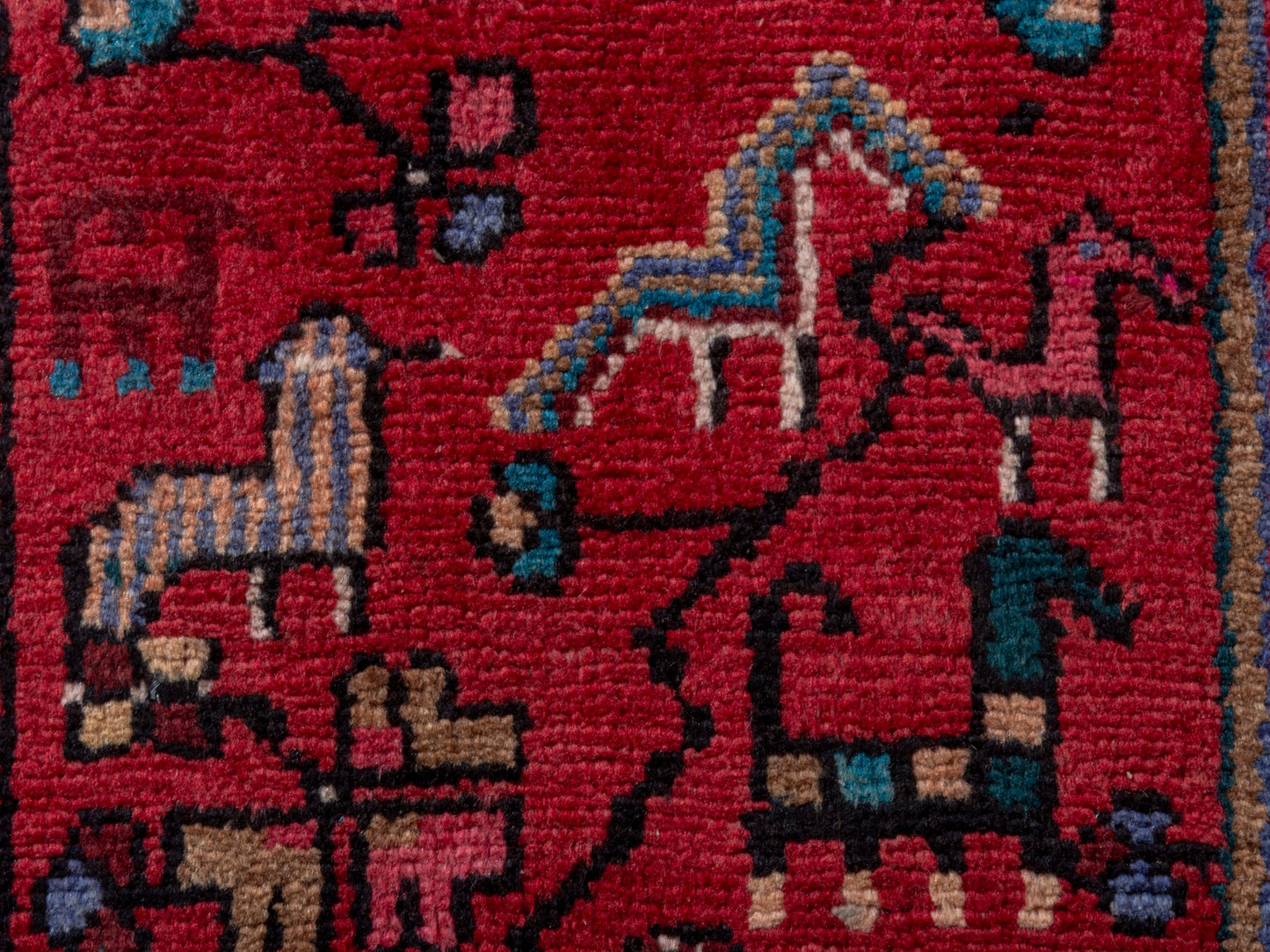 CAN_4769 - 4'11" x 10'3"
