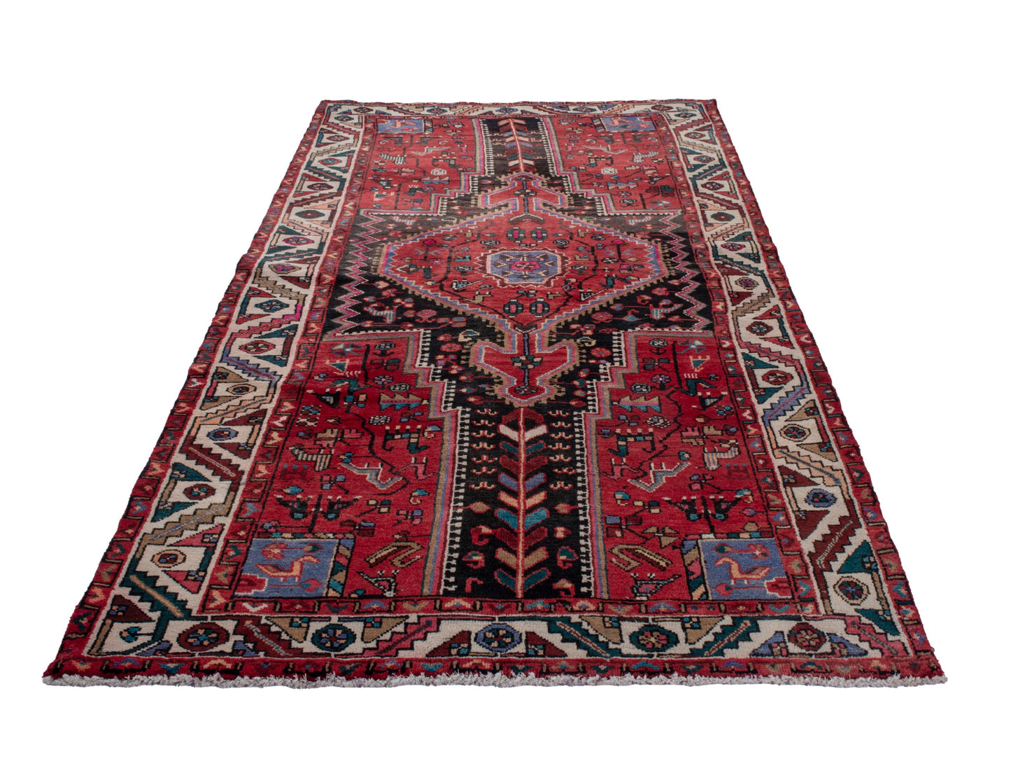 CAN_4769 - 4'11" x 10'3"