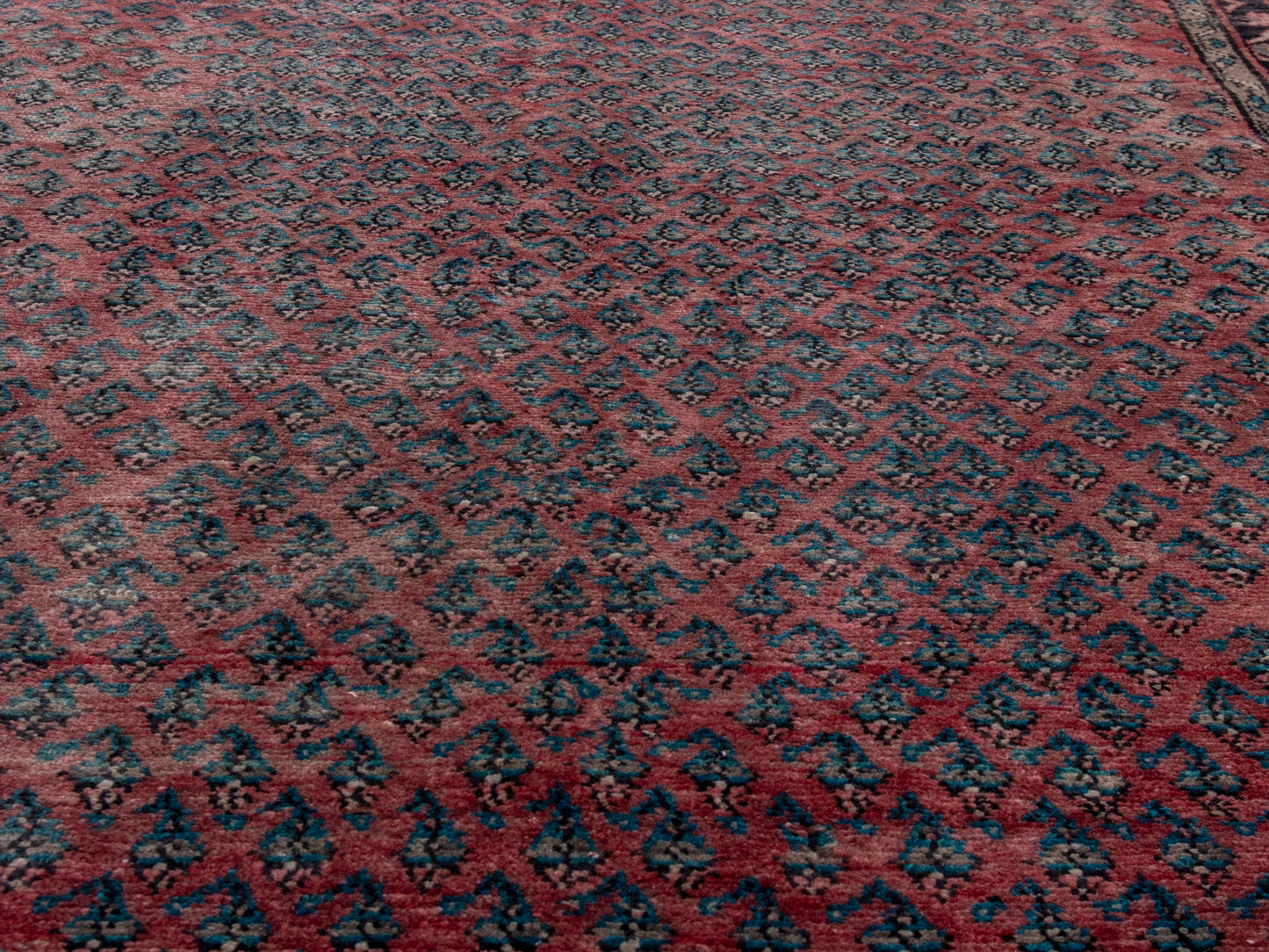 CAN_4770 - 4'8" x 9'7"