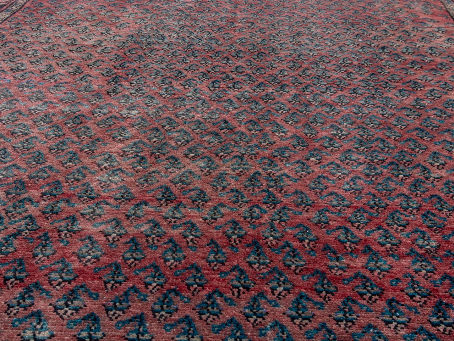 CAN_4770 - 4'8" x 9'7"
