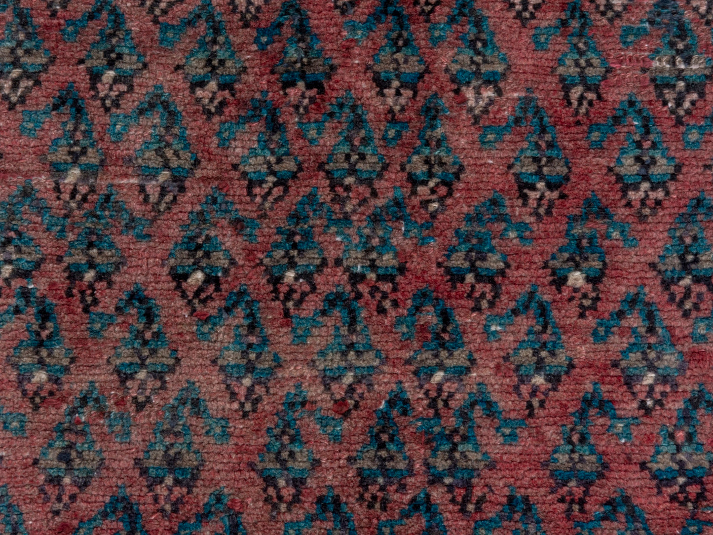 CAN_4770 - 4'8" x 9'7"